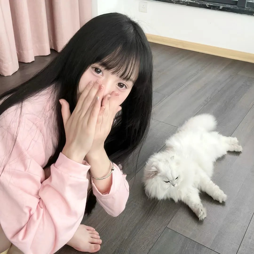 特洛伊